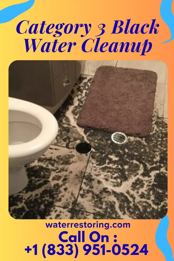 Category 3 Black Water Cleanup in Southport, NC