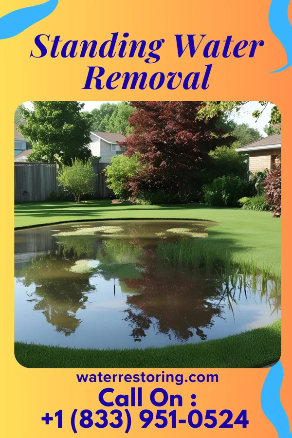 Standing Water Removal in Southport, NC